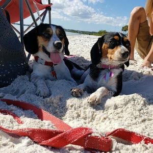 Meet your Posher, Rebecca